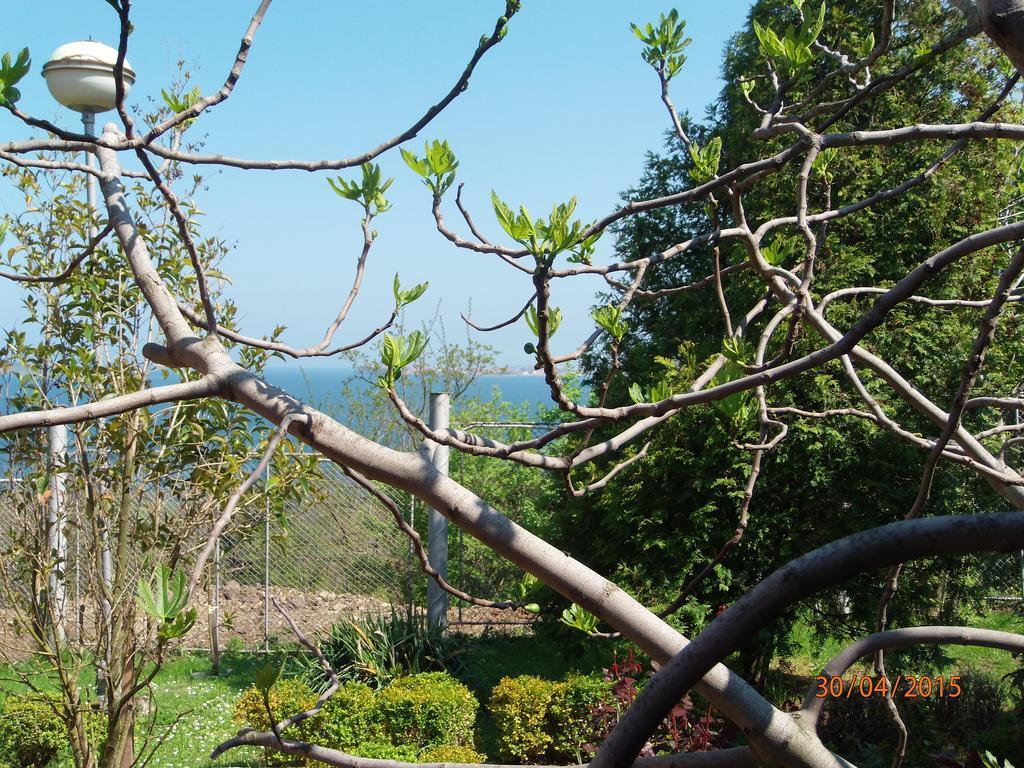 Villas&Bungalows Panorama Chernomorets Bagian luar foto