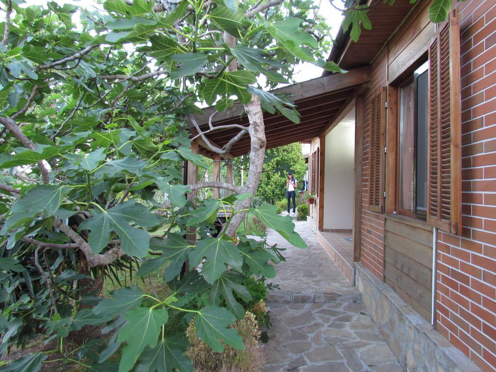 Villas&Bungalows Panorama Chernomorets Bagian luar foto